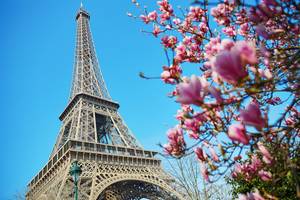 Free Tour Eiffel Tower