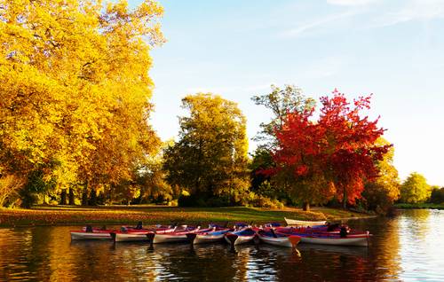 Bois de Vincennes