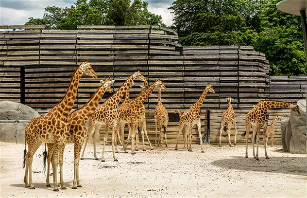 Paris Zoo