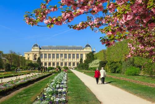 Paris Botanical Garden