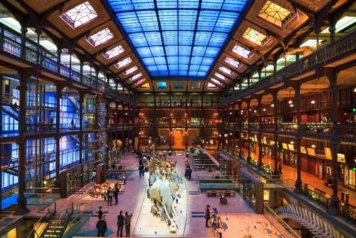 Natural History Museum