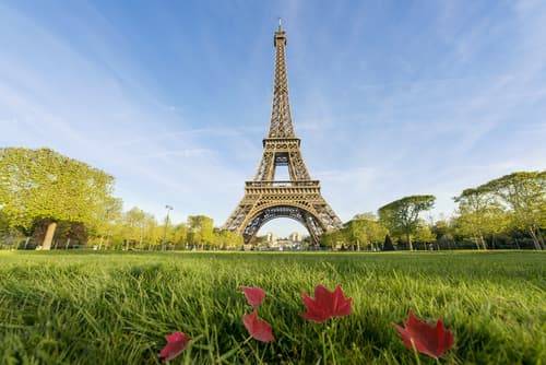 Climb the Eiffel Tower